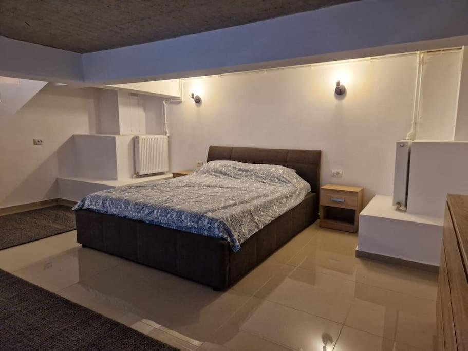 Danube Double Apartment Braila Exterior photo